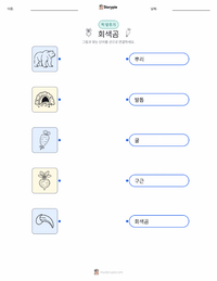회색곰 어린이용 인쇄 가능한 워크시트