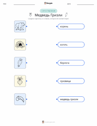 Медведь гризли распечатываемый рабочий лист для детей