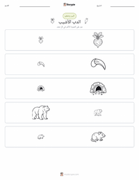 معاينة ورقة العمل القابلة للطباعة الدب الأشهب