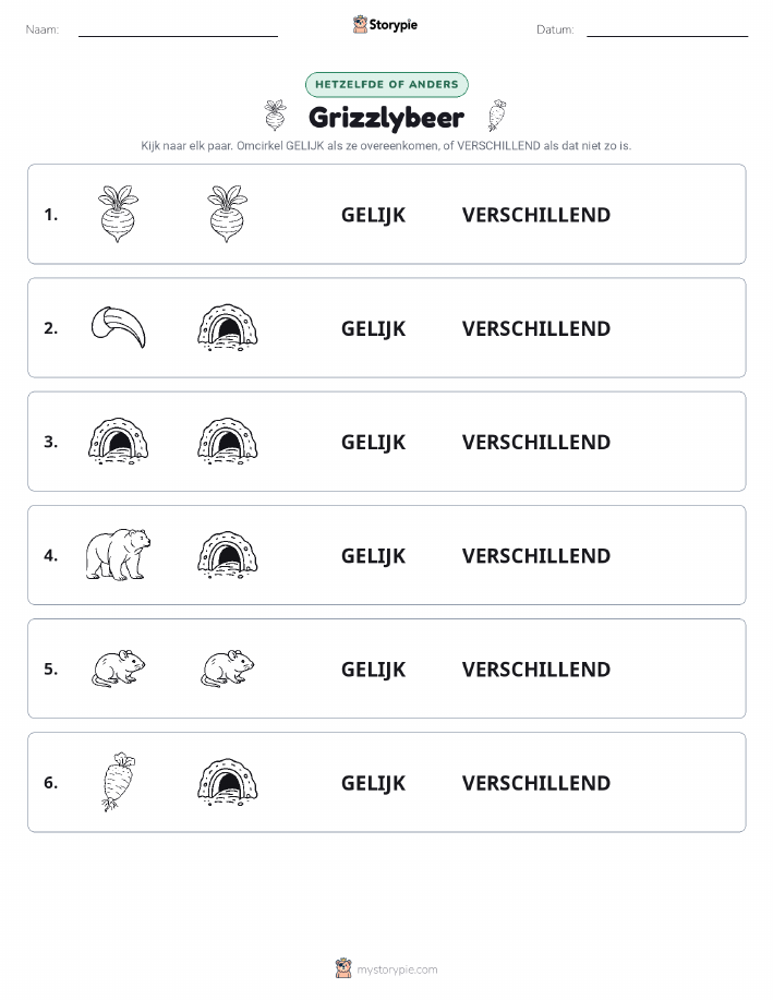 Zelfde of Verschillend