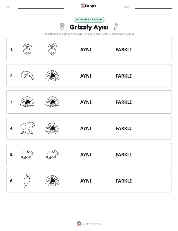 Aynı mı Farklı mı