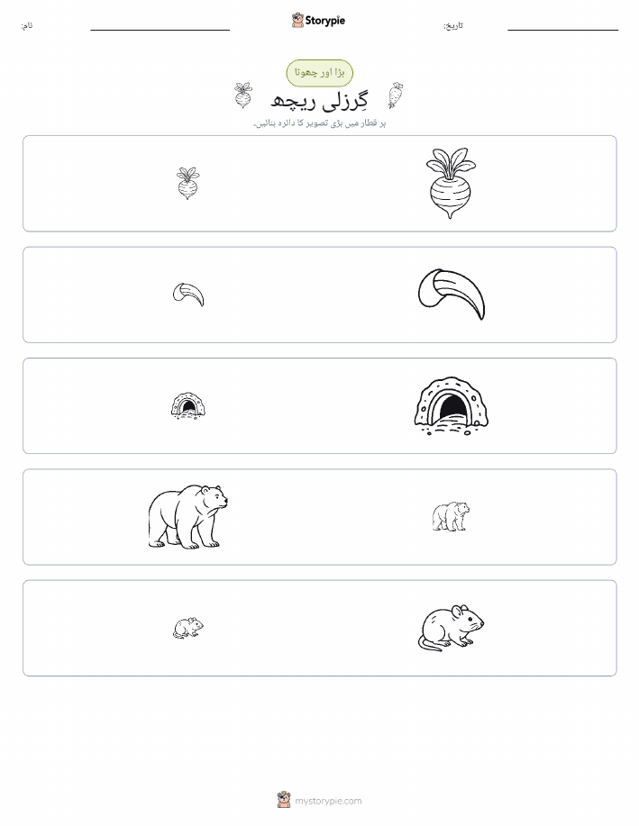 ترتیب دینا