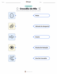 Folha de atividades imprimível Crocodilo-do-nilo para crianças