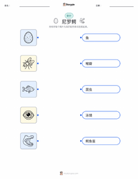 尼罗鳄 可打印工作表，适合儿童
