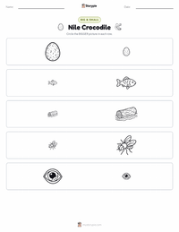 Nile Crocodile printable worksheet preview