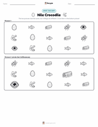 Nile Crocodile printable worksheet preview