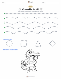 Aperçu de la feuille de travail imprimable Crocodile du Nil