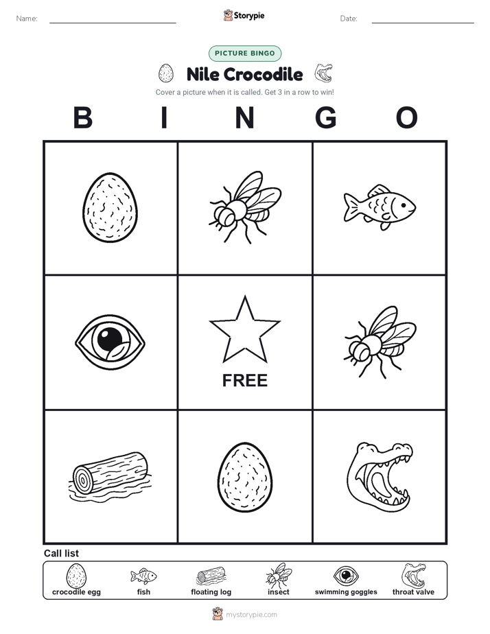 Picture Bingo