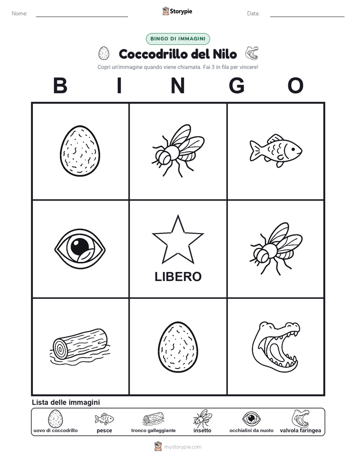 Bingo delle Immagini