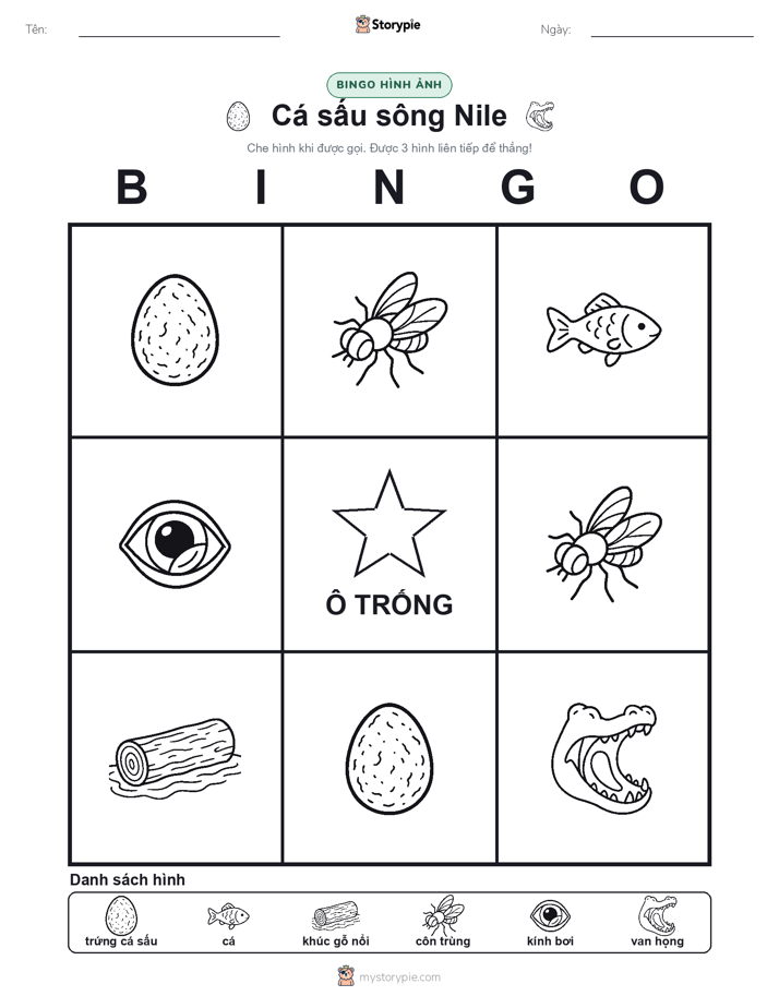 Bingo Hình Ảnh