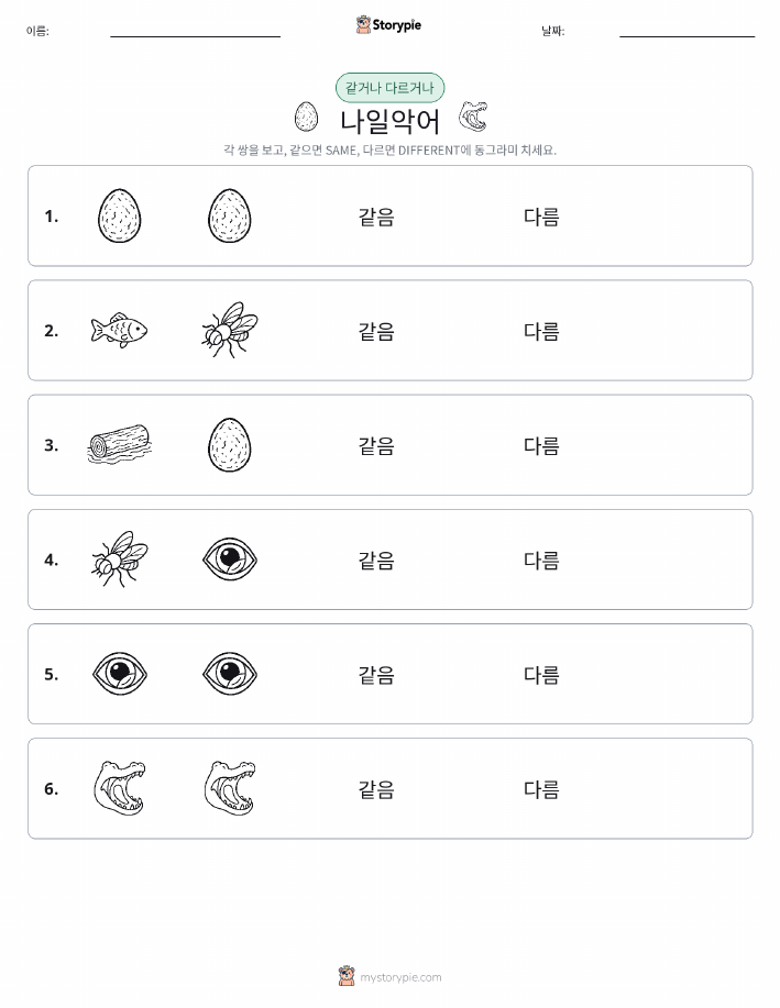 같은 것 또는 다른 것