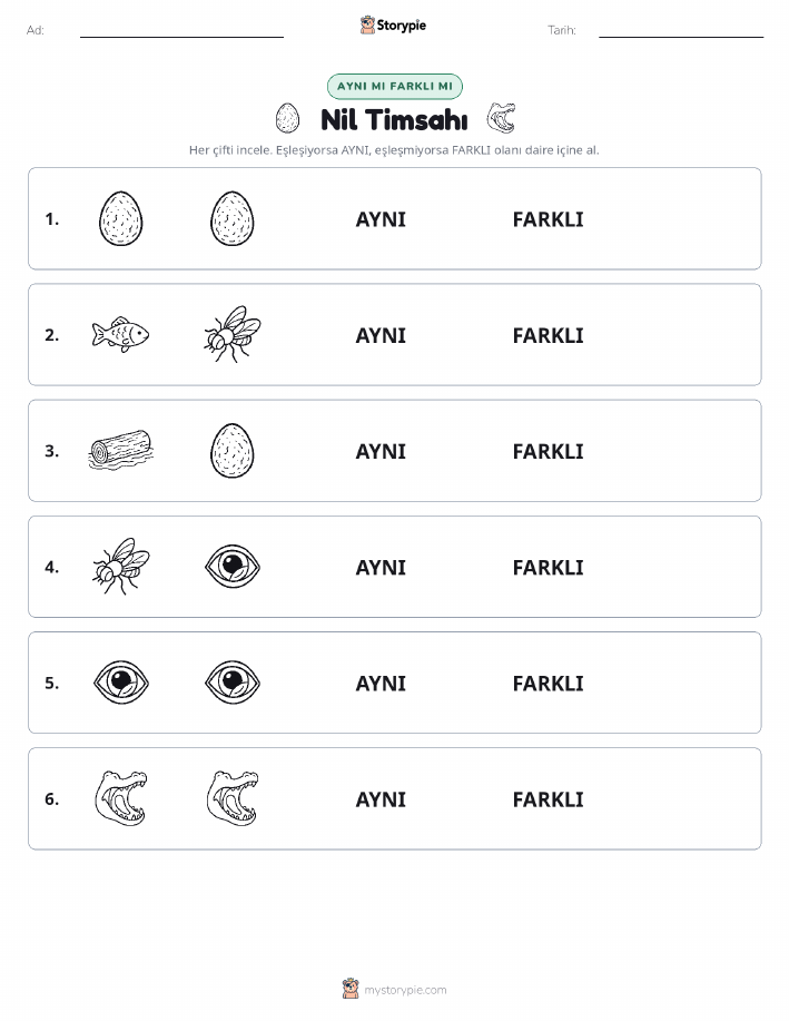 Aynı mı Farklı mı