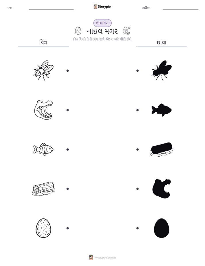 શેડો મેચ