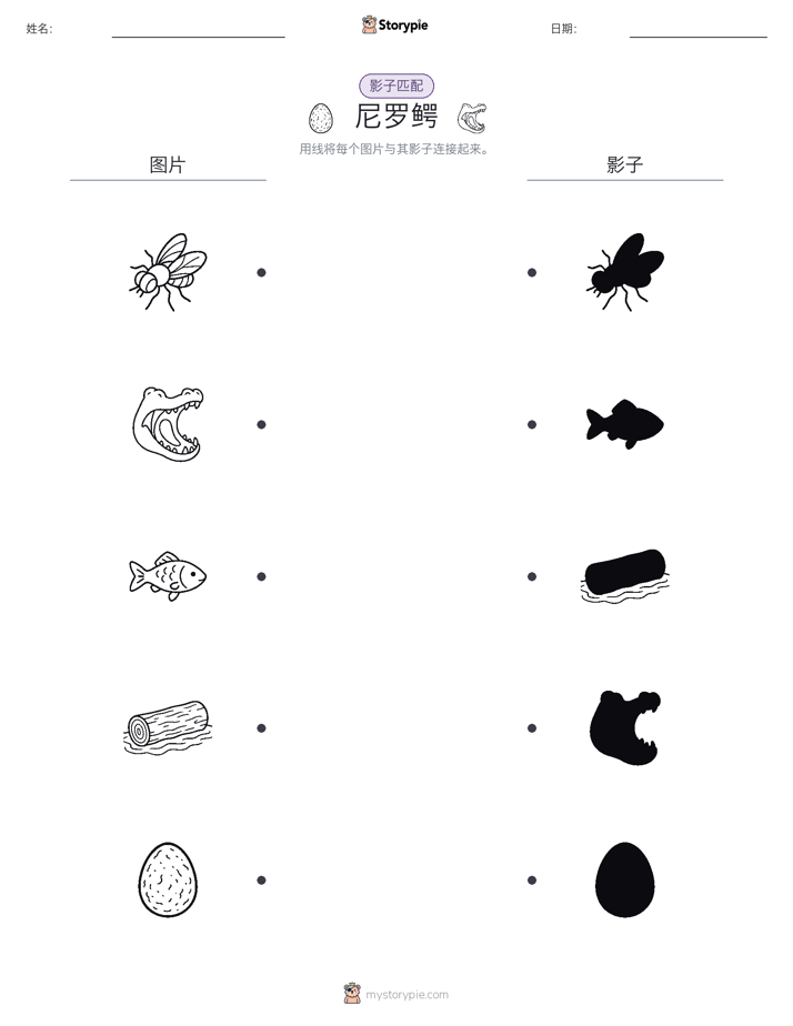 影子匹配