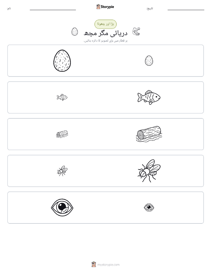 ترتیب دینا