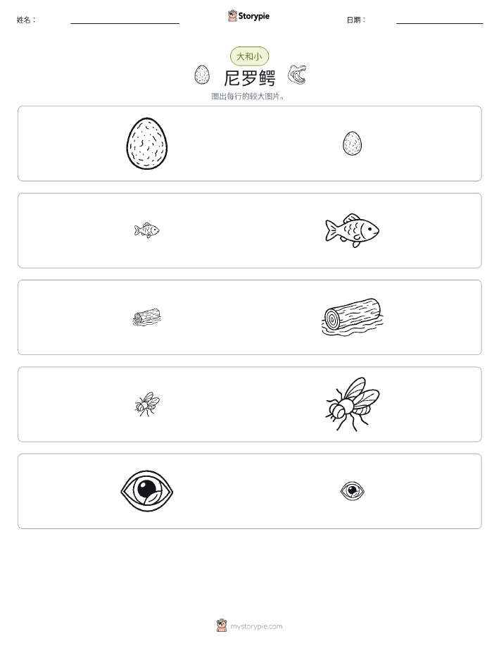 分类