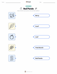 Red Panda printable worksheet for kids