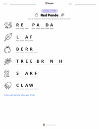 Red Panda printable worksheet preview