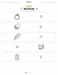 Red Panda printable worksheet preview