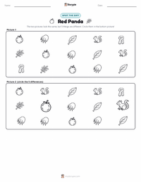 Red Panda printable worksheet preview