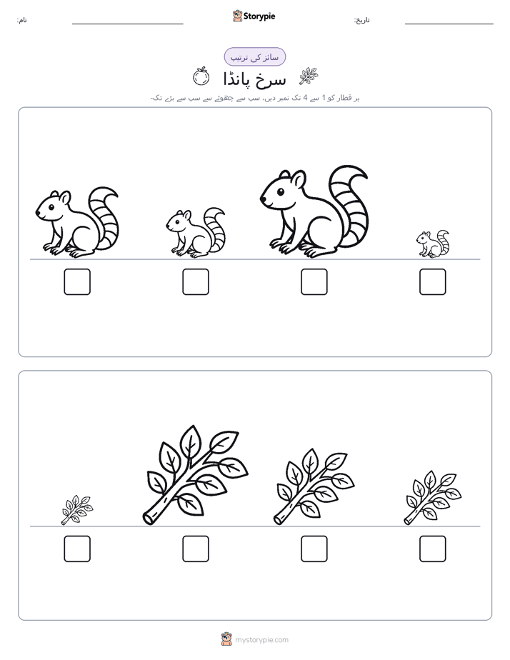 سائز کی ترتیب