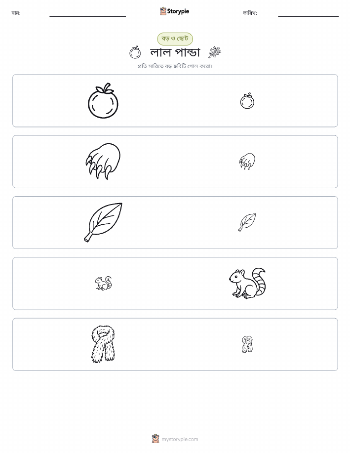 সাজানো