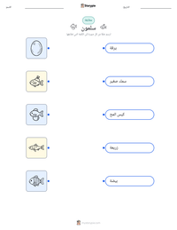معاينة ورقة العمل القابلة للطباعة سلمون