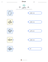 سالمون پرنٹ کرنے کے قابل ورکشیٹ کا پیش نظارہ