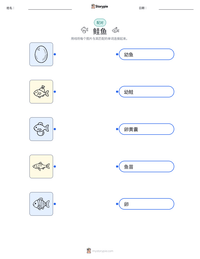 鲑鱼 可打印工作表预览