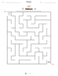 Salmon printable worksheet preview