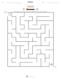Aperçu de la feuille de travail imprimable Saumon