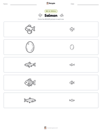 Salmon printable worksheet preview