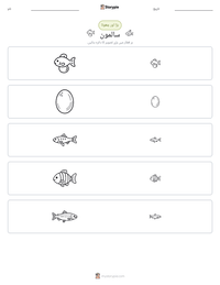 سالمون پرنٹ کرنے کے قابل ورکشیٹ کا پیش نظارہ
