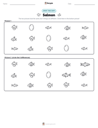 Salmon printable worksheet preview
