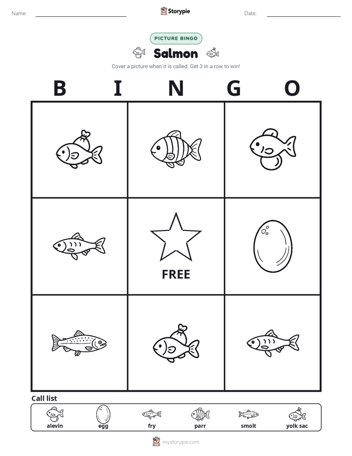 Picture Bingo