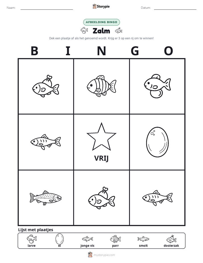 Afbeelding Bingo