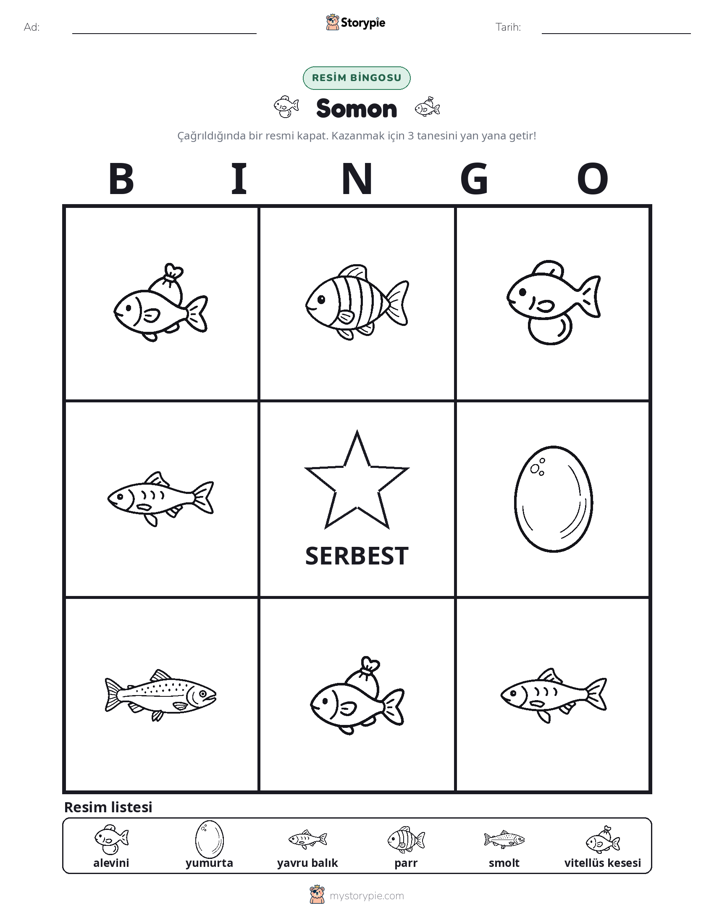 Resim Bingo