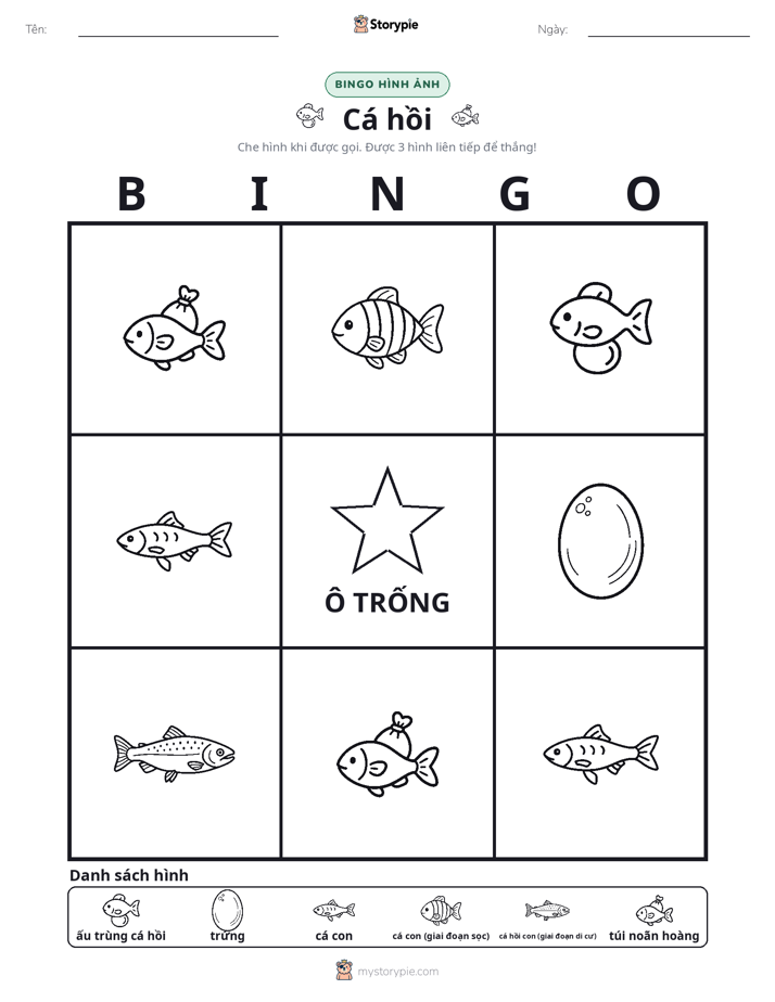 Bingo Hình Ảnh