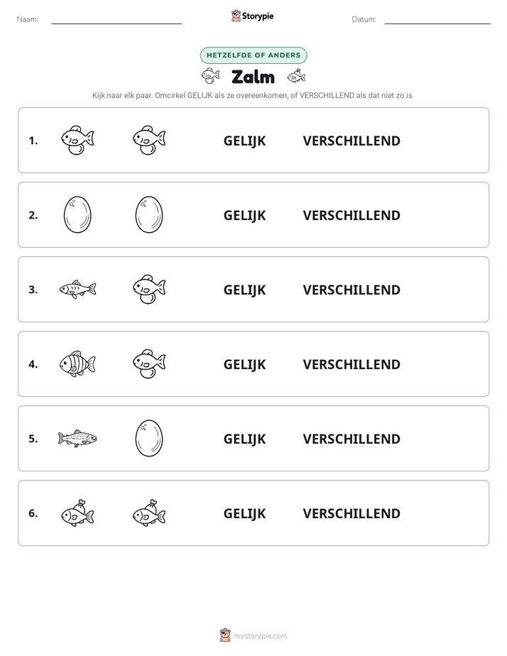 Zelfde of Verschillend