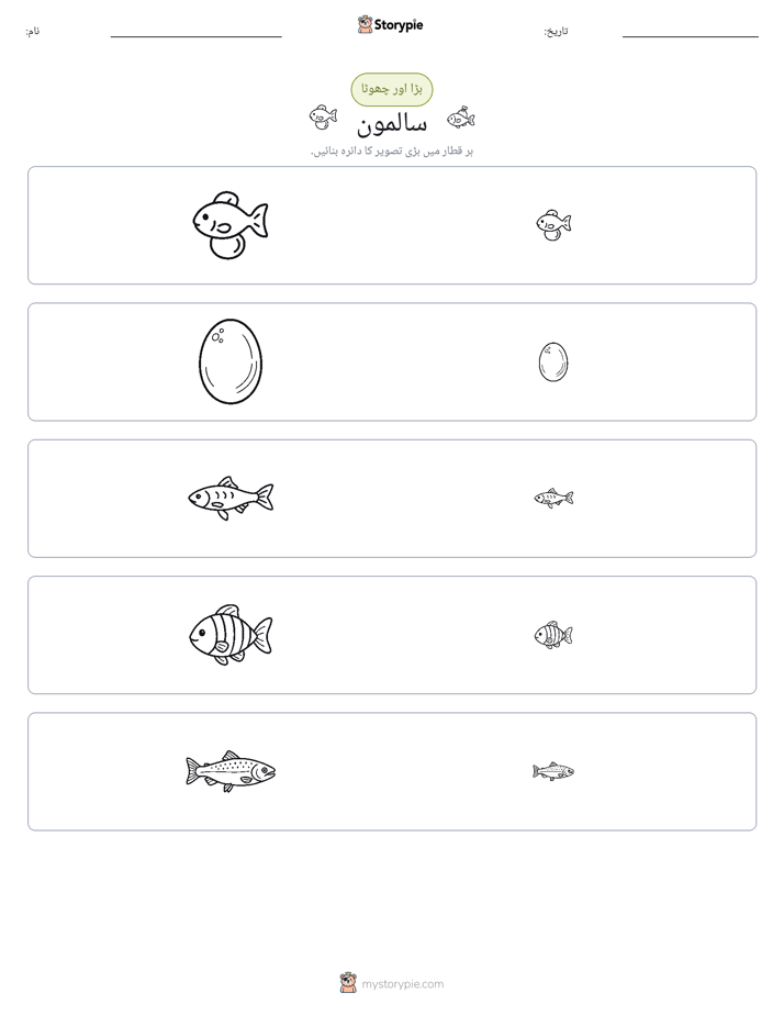 ترتیب دینا