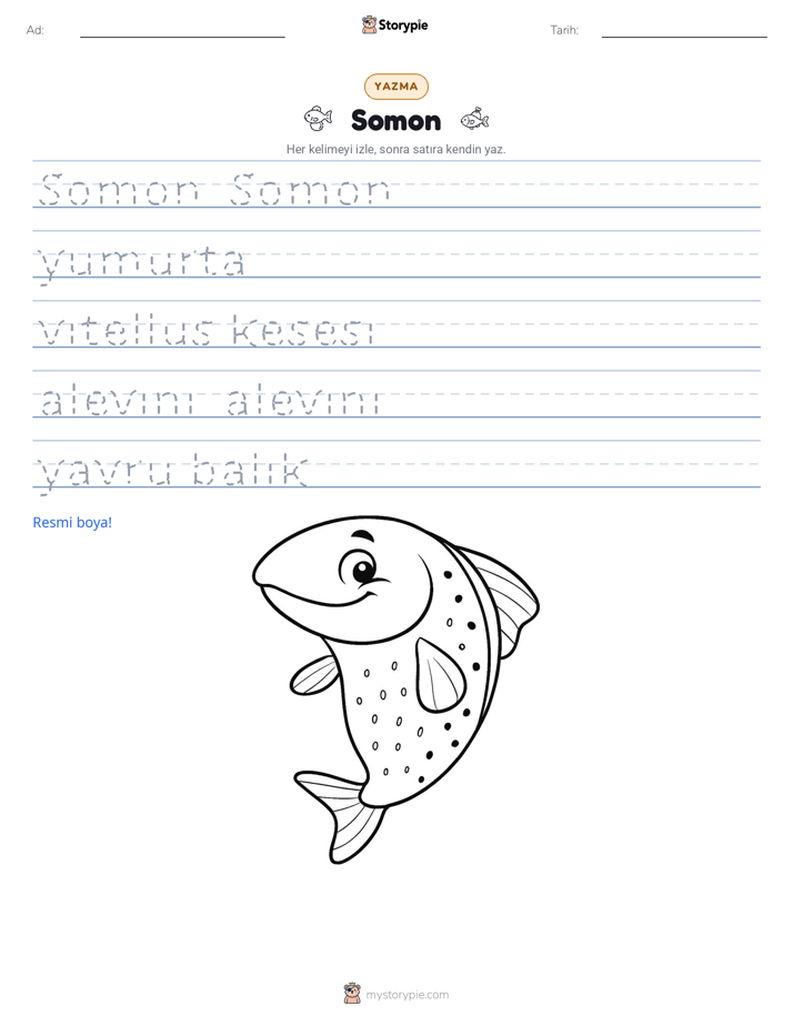 Yazma Pratiği