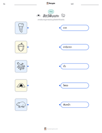 สัตว์ฟันแทะ ตัวอย่างแบบฝึกหัดที่พิมพ์ได้