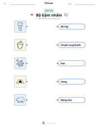 Xem trước tài liệu in sẵn Bộ Gặm nhấm