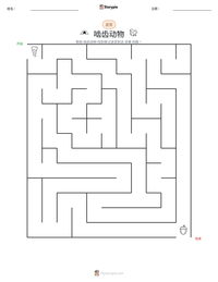 啮齿动物 可打印工作表预览