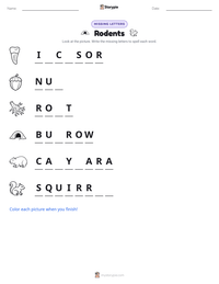Rodents printable worksheet preview