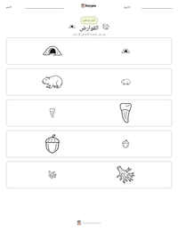 معاينة ورقة العمل القابلة للطباعة القوارض
