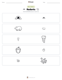 Rodents printable worksheet preview
