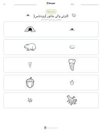 کُترنے والے جانور (رودنٹس) پرنٹ کرنے کے قابل ورکشیٹ کا پیش نظارہ