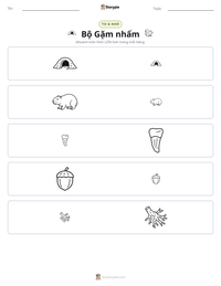 Xem trước tài liệu in sẵn Bộ Gặm nhấm