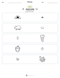 啮齿动物 可打印工作表预览
